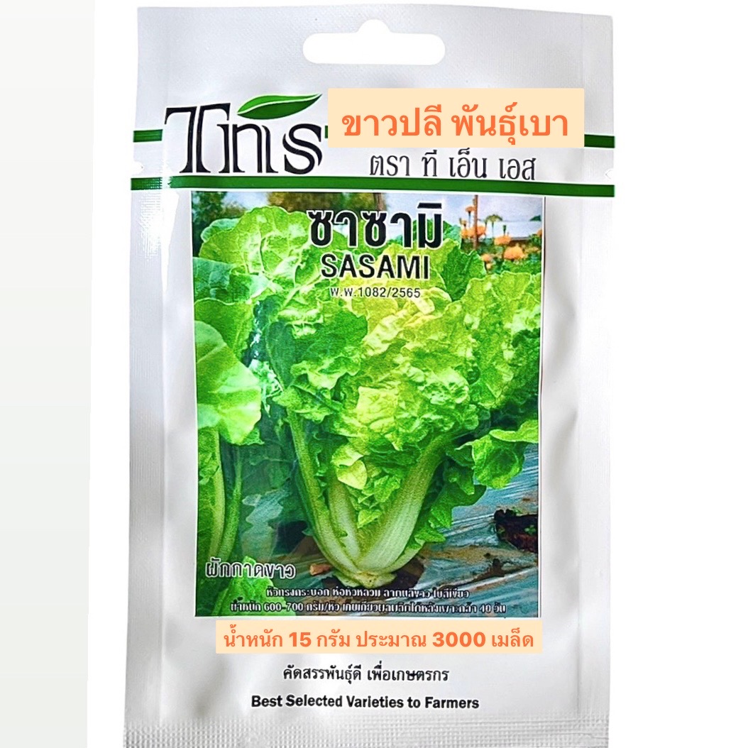 tns ผักกาดขาวปลี ซาซามิ พันธุ์เบา(น้ำหนัก 15 กรัม ประมาณ 3000 เมล็ด)