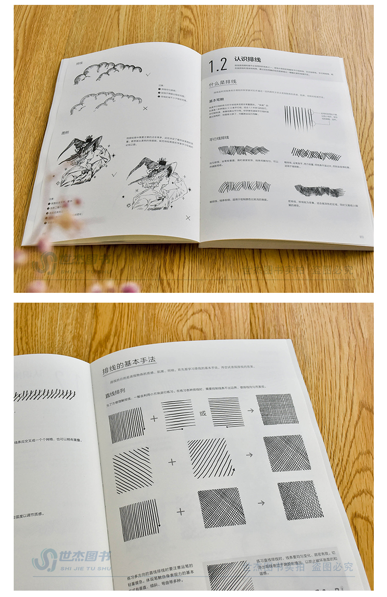 สอนตัดเส้นขาวดำแบบ lolita(แถมพร้อมโปสเตอร์สี)