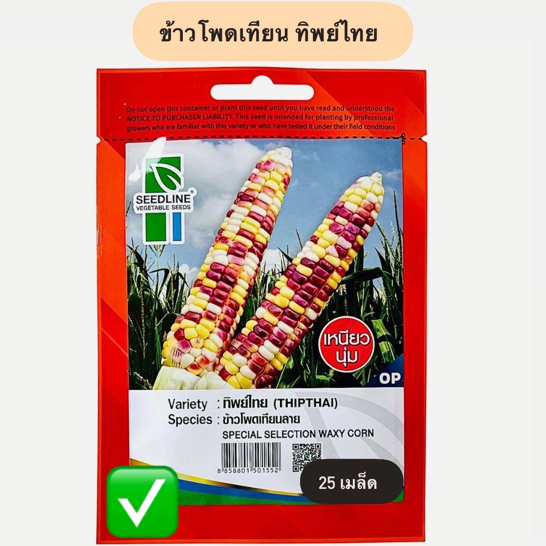 ข้าวโพดเทียน ทิพย์ไทย (25 เมล็ด)