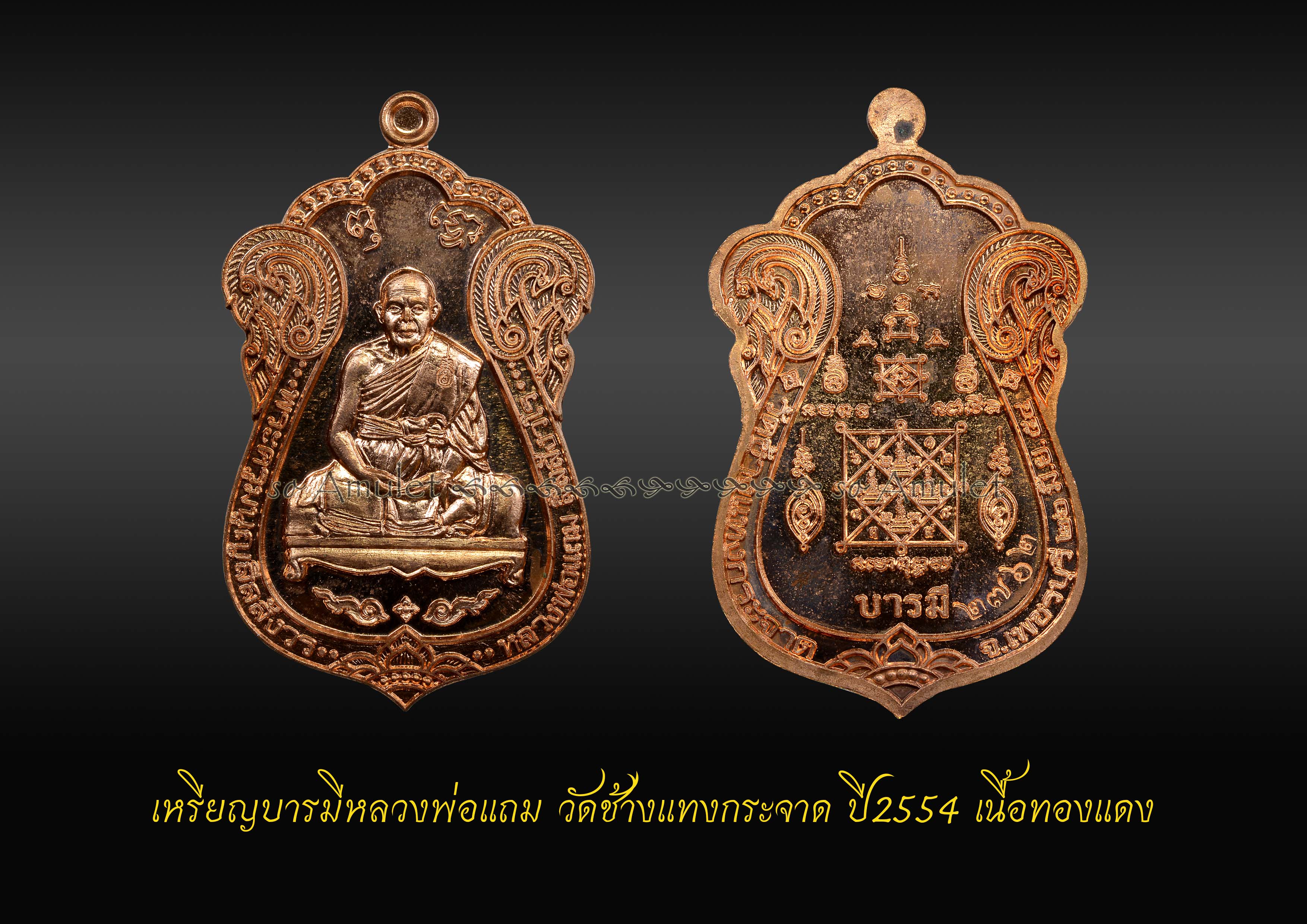 เหรียญบารมีหลวงพ่อแถม วัดช้างแทงกระจาด ปี2554 เนื้อทองแดง