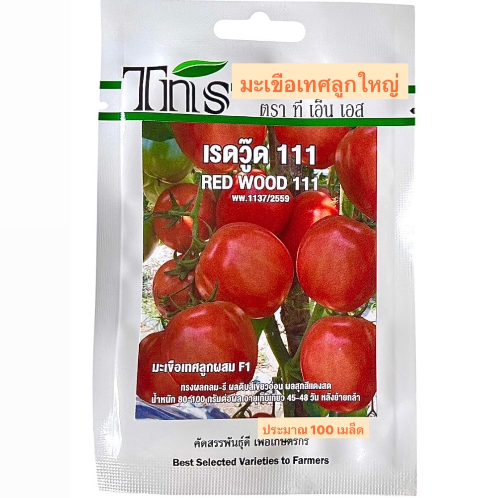 tns มะเขือเทศ ลูกใหญ่ เรดวู๊ด 111 (ประมาณ 100 เมล็ด)
