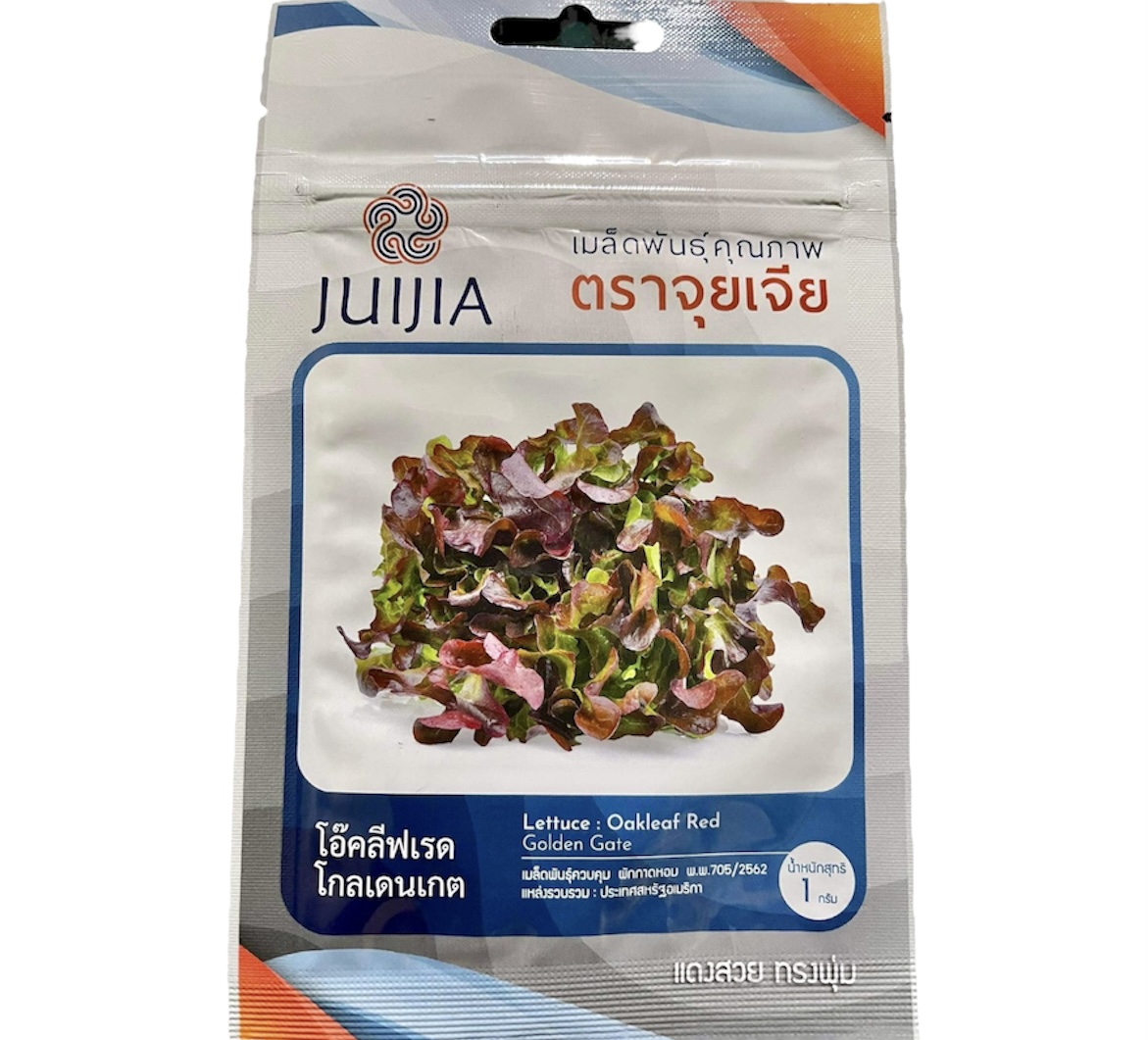 สลัด เรดโอ๊ค ลีฟ 1 กรัม ( ประมาณ 500 เมล็ด)