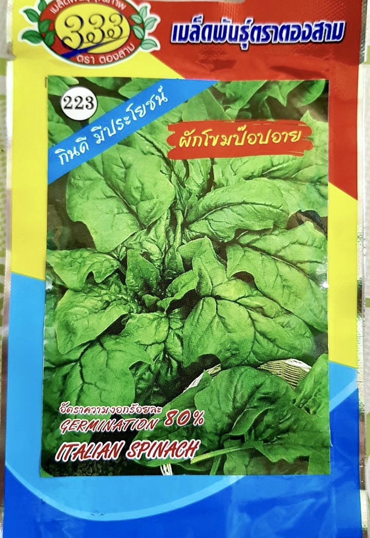 ผักโขม ป๊อปอาย italian spinach ประมาณ 200-300 เมล็ด