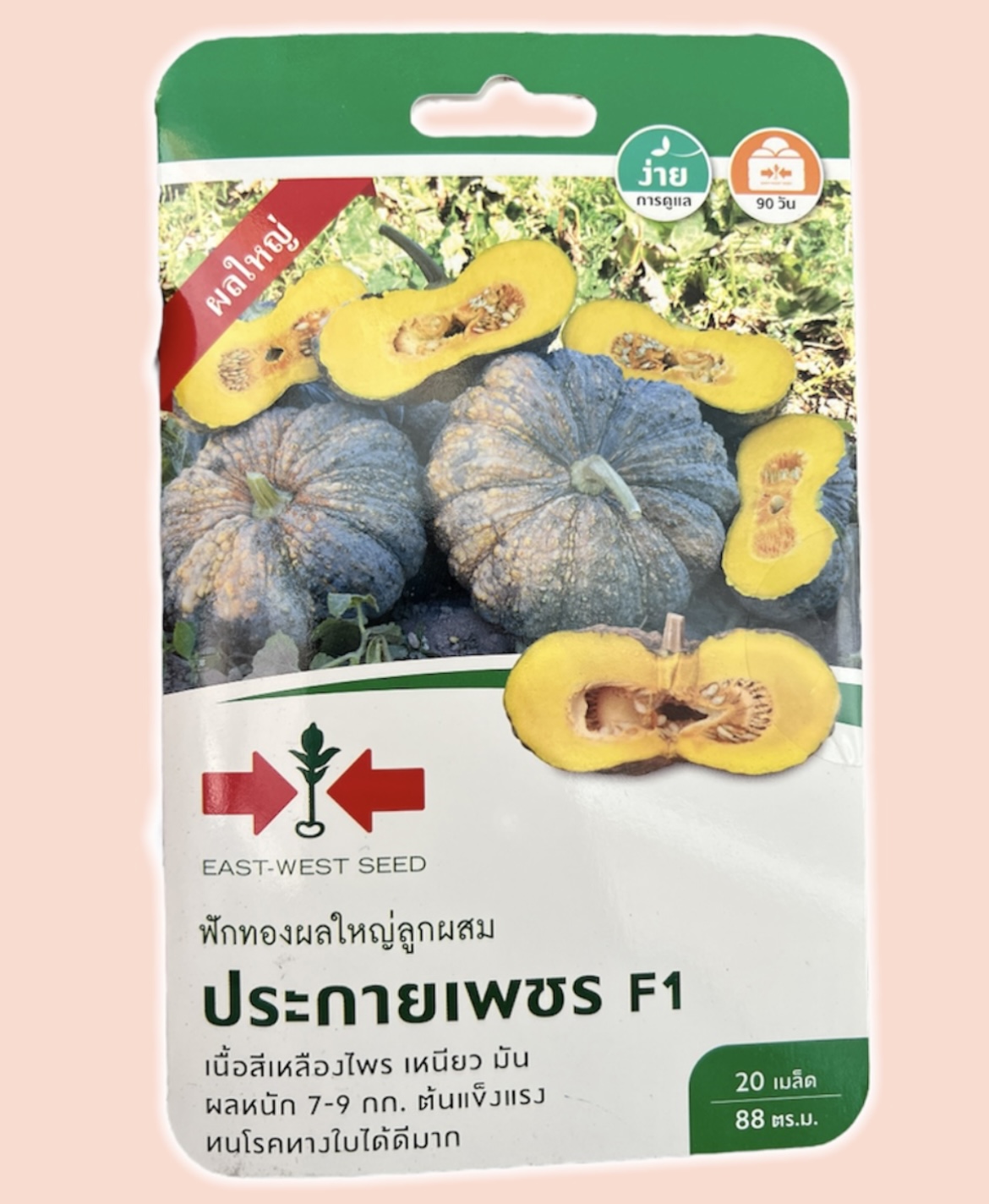 ฟักทอง ประกายเพชร 20 เมล็ด