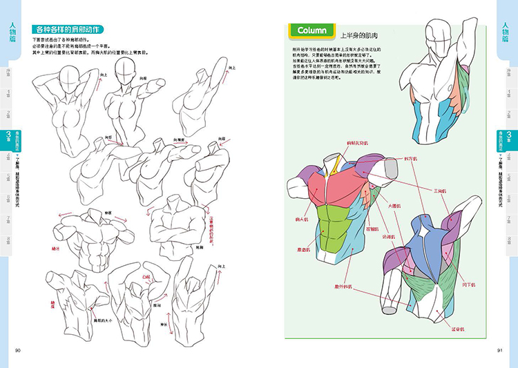 ขายดีอันดับ1!! พื้นฐานการวาดการ์ตูนมังงะ