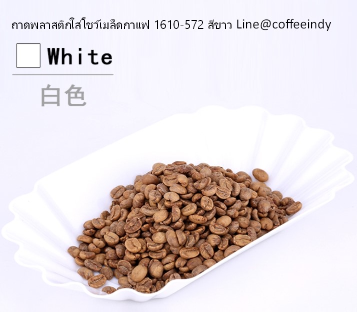 ถาดพลาสติกใส่โชว์เมล็ดกาแฟ 1610-572 สีขาว Line@coffeeindy ขนาด: 22.3 × 13 × 3.5 ซม