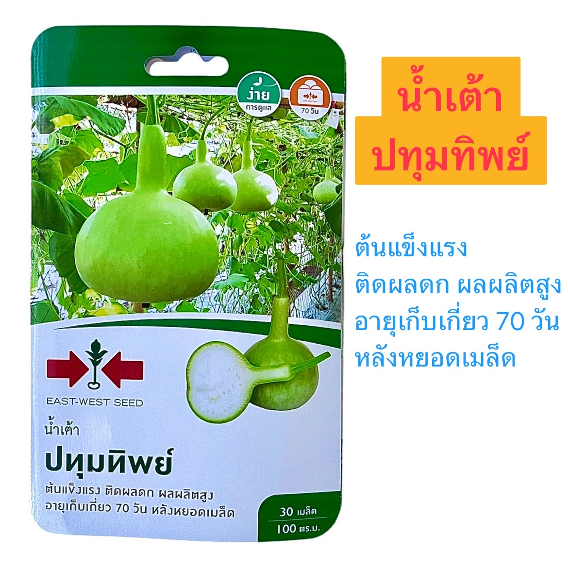 ศรแดง น้ำเต้า ปทุมทิพย์ (30 เมล็ด)