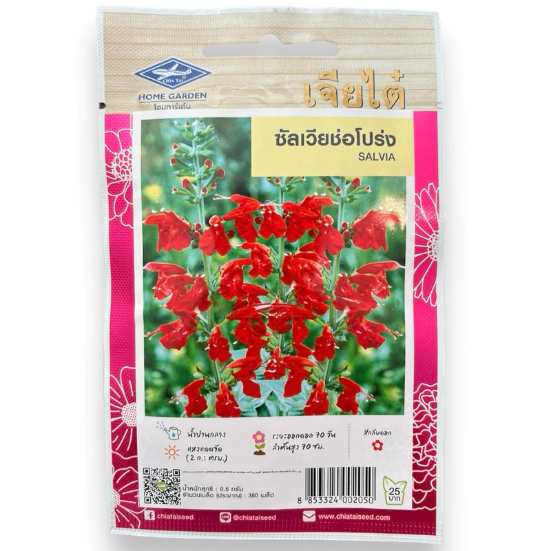 เมล็ดดอกไม้ ซัลเวียช่อโปร่ง SALVIA (ประมาณ 300 เมล็ด)