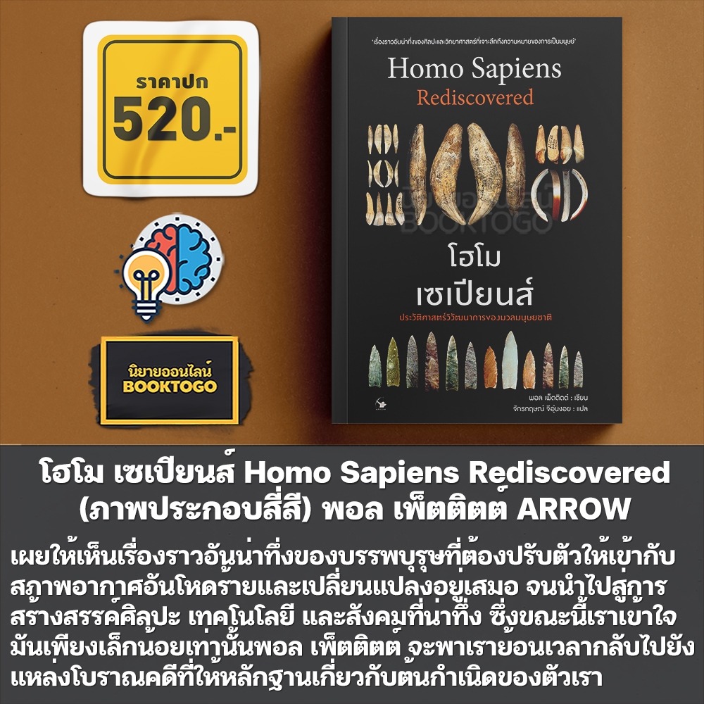 (พร้อมส่ง) โฮโม เซเปียนส์ Homo Sapiens Rediscovered พอล เพ็ตติตต์ ARROW