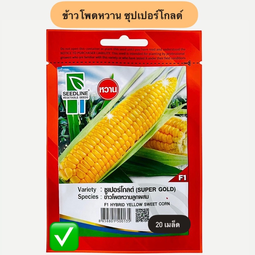 ข้าวโพดหวาน ซุปเปอร์โกลด์ (20 เมล็ด)
