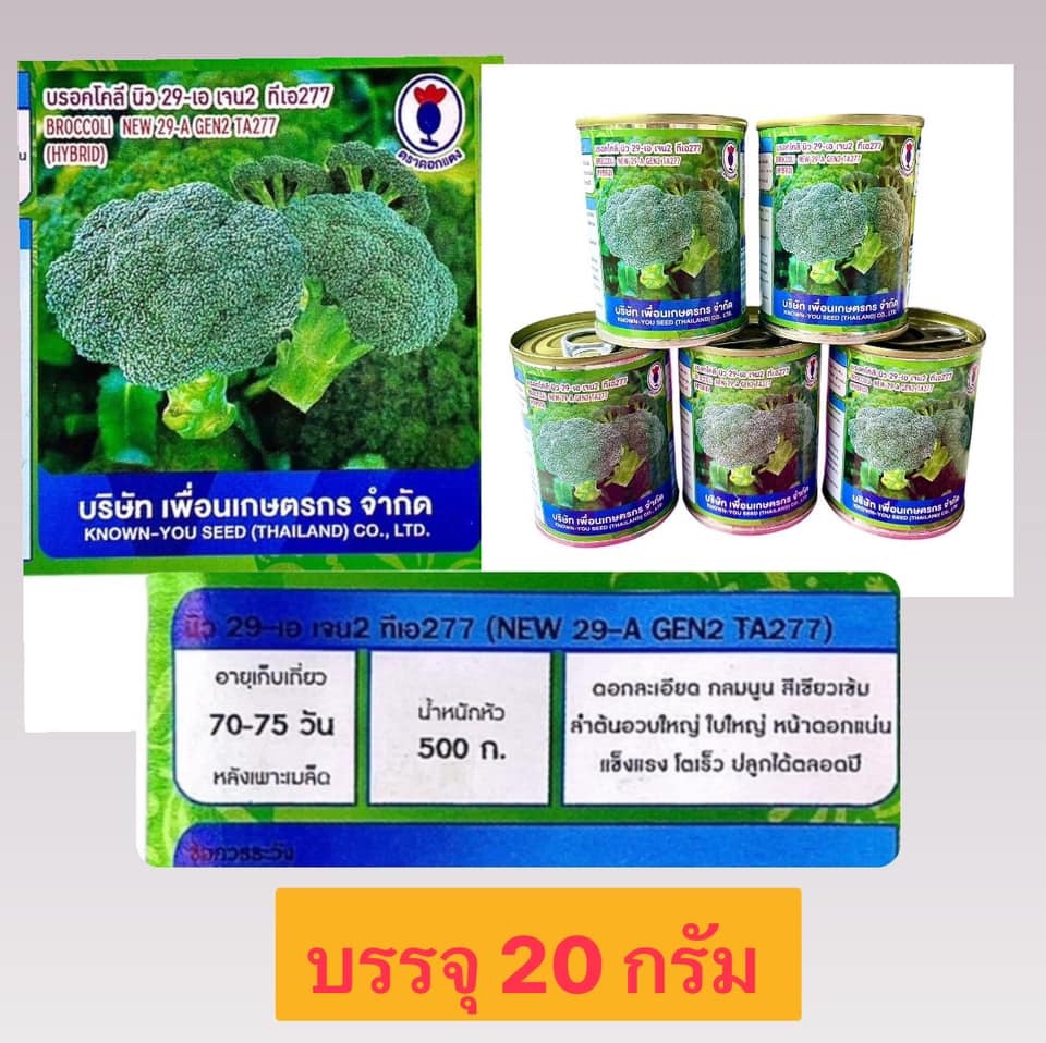 บรอคโคลี นิว 29-เอ เจน2 ทีเอ277 (20กรัม)