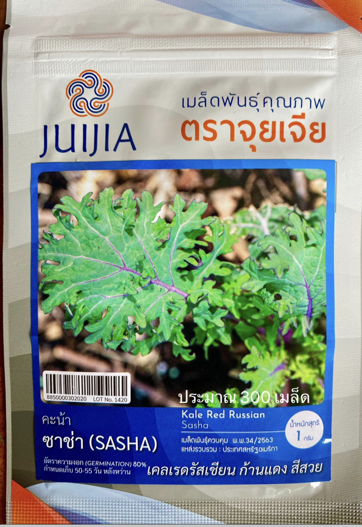 เคล ใบหยิก สีม่วง red russian kale ประมาณ 300เมล็ด