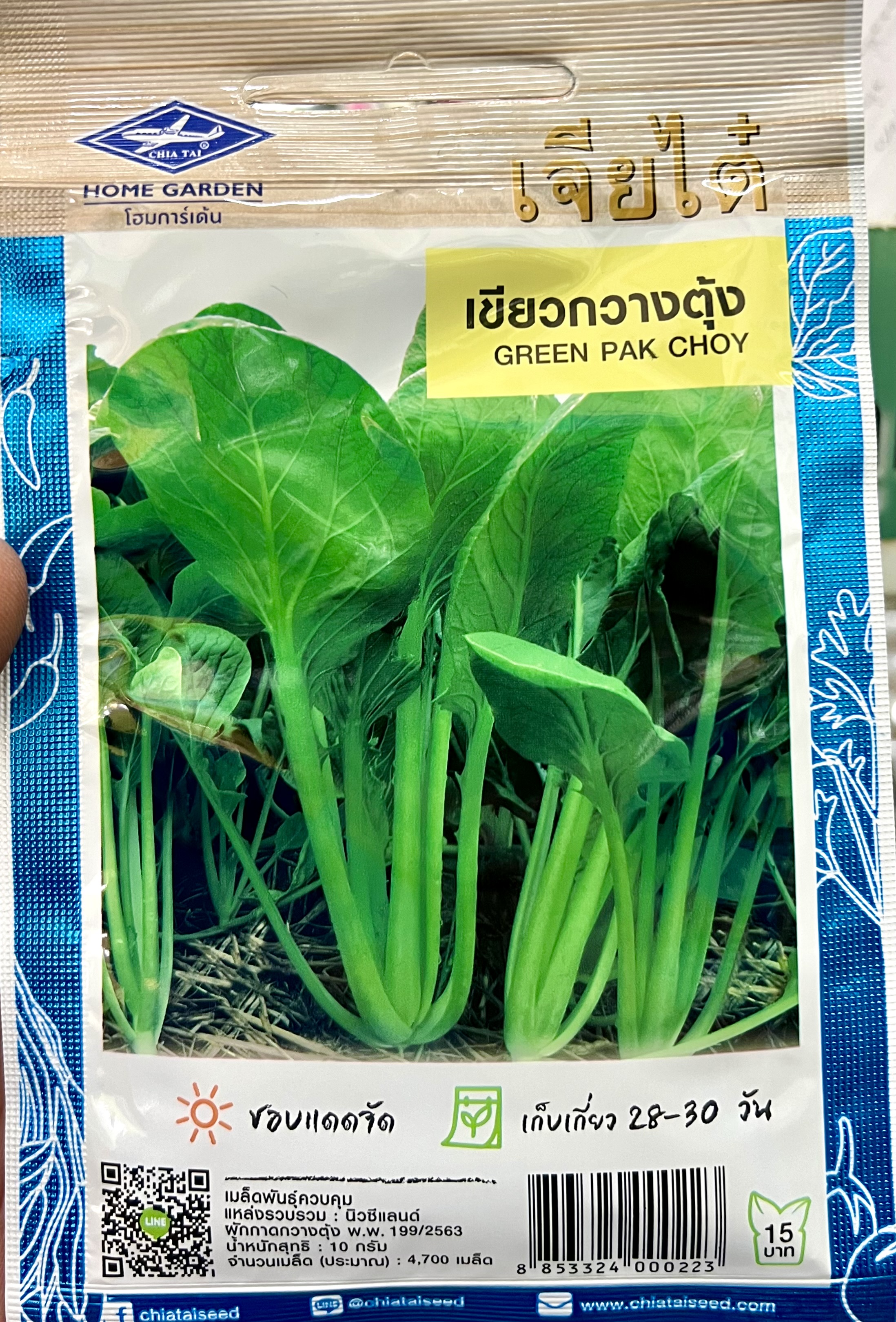 เขียวกวางตุ้ง ประมาณ 4000 เมล็ด