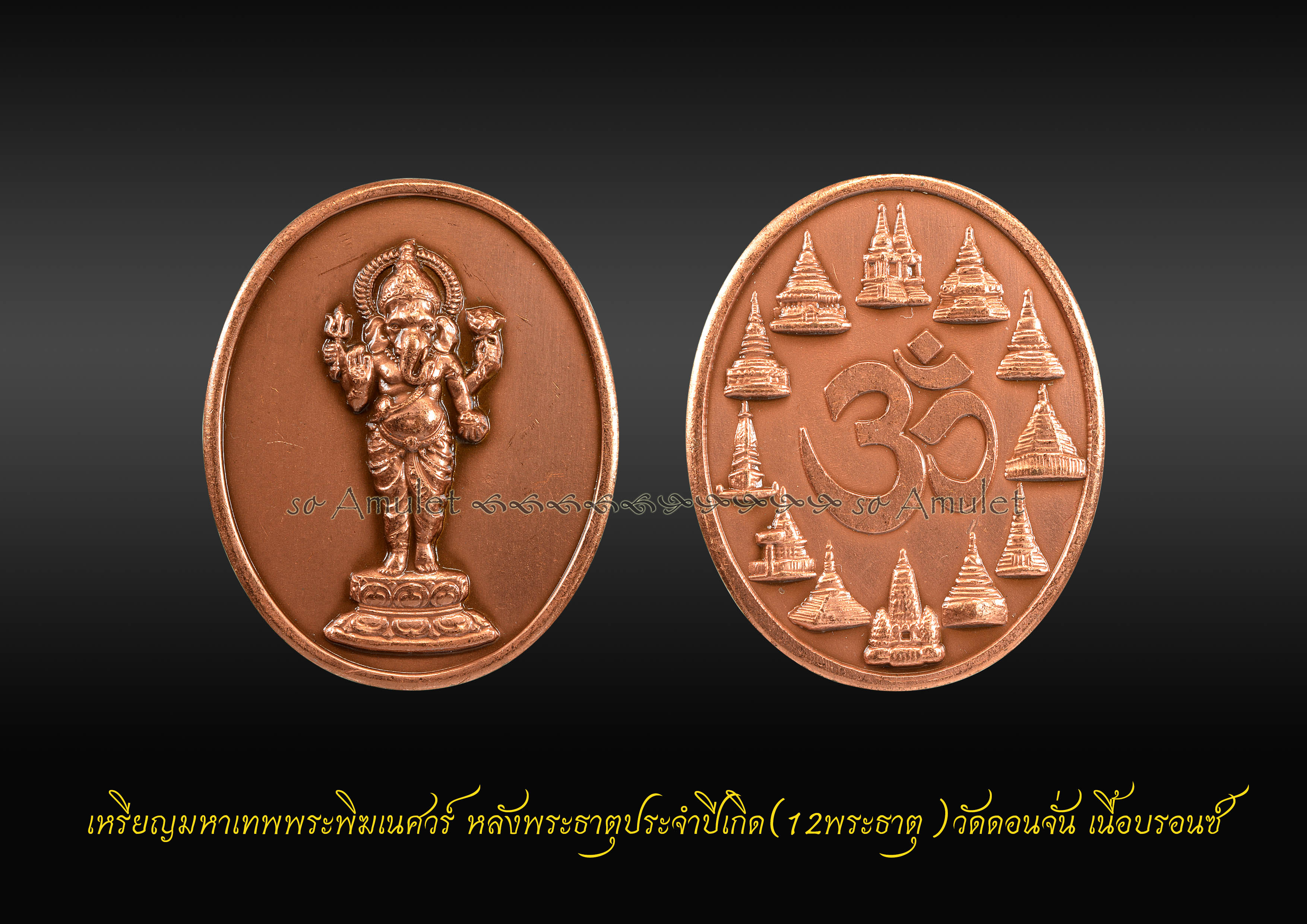 เหรียญมหาเทพพระพิฆเนศวร์ หลังพระธาตุประจำปีเกิด(12พระธาตุ) วัดดอนจั่น เนื้อบรอนซ์