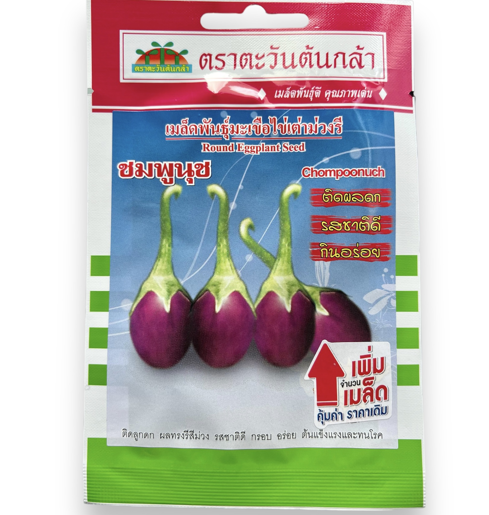 มะเขือ ม่วงรี ประมาณ 100 เมล็ด