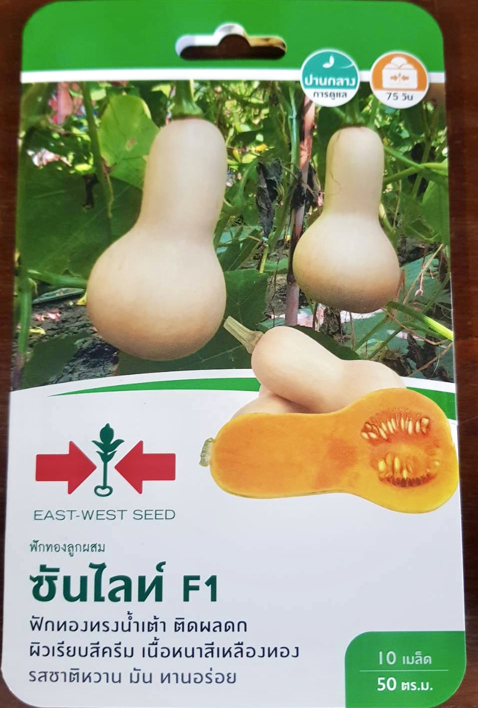 ฟักทอง บัตเตอร์นัท ซันไลท์ 10 เมล็ด