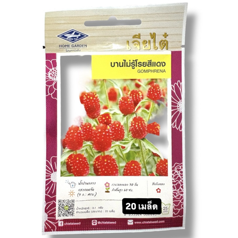 ดอกไม้ บานไม่รู้โรย สีแดง (20 เมล็ด)