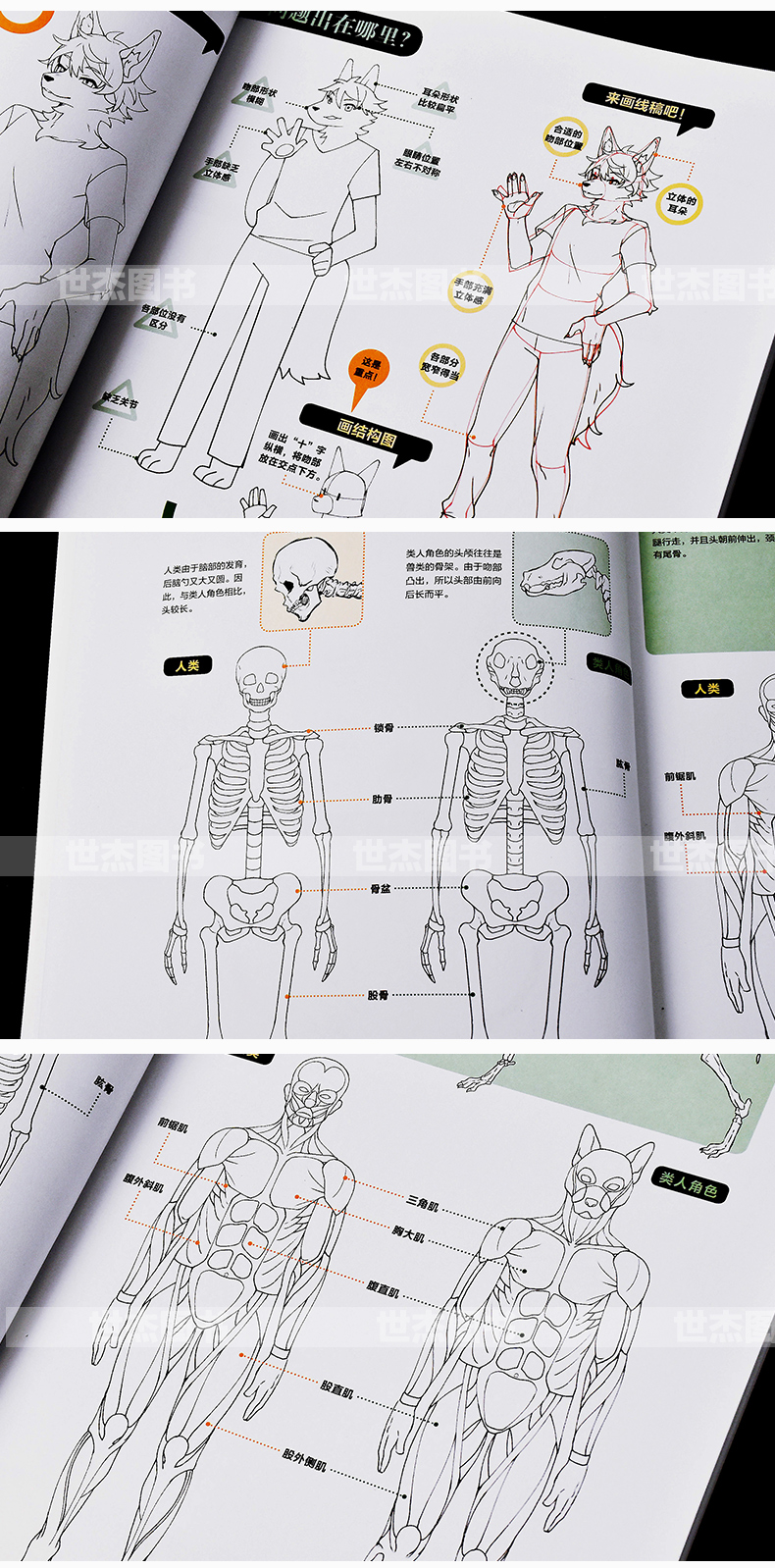 สอนวาดเคโมะKemono เล่ม2