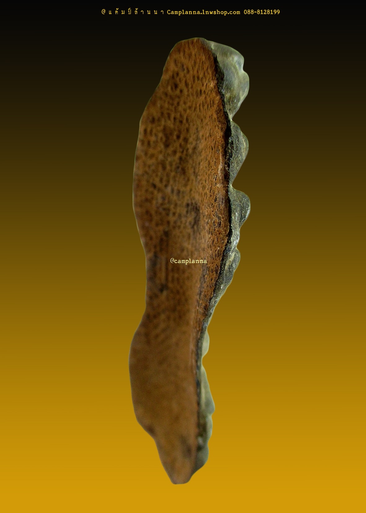 พระนาคปรก กรุวัดพระศรีรัตนมหาธาตุลพบุรี เนื้อชินเงิน 5.2x1.5 cm งดงามอลังการ เก่าเก็บจากกรุ