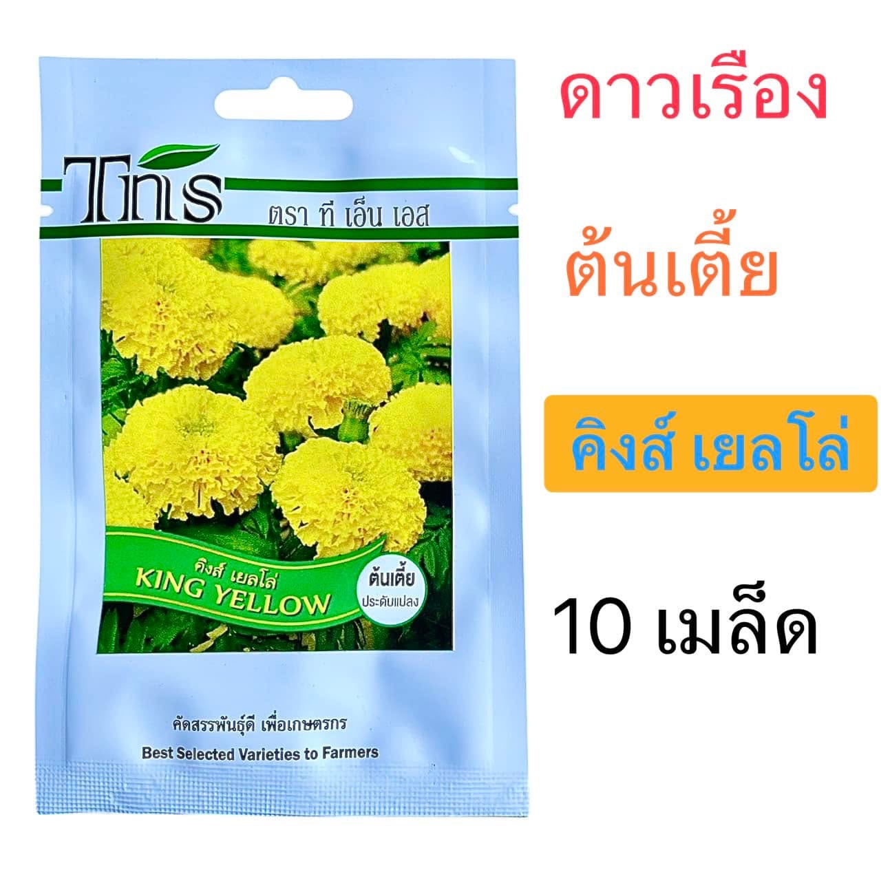 Tns เมล็ด ดาวเรือง คิงส์ เยลโล่ ต้นเตี้ย (10 เมล็ด)