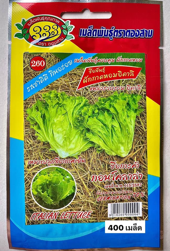 ผักกาดหอม อิตาลี ผักสลัด (ประมาณ 400เมล็ด)
