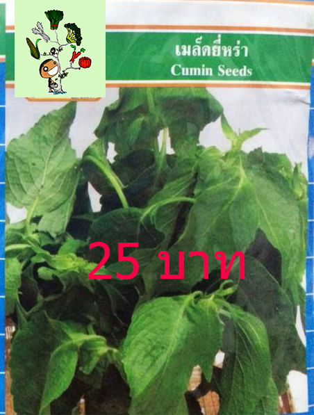 ยี่หร่า (หอม เผ็ด) ประมาณ 250 เมล็ด