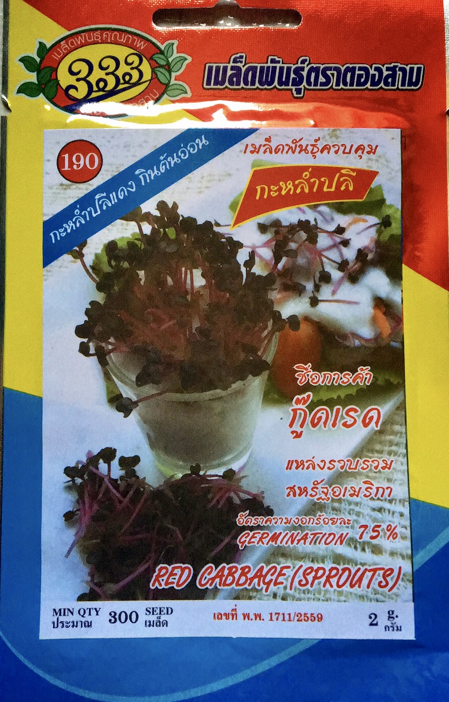 กะหล่ำปลีแดง กินต้นอ่อน 300 เมล็ด