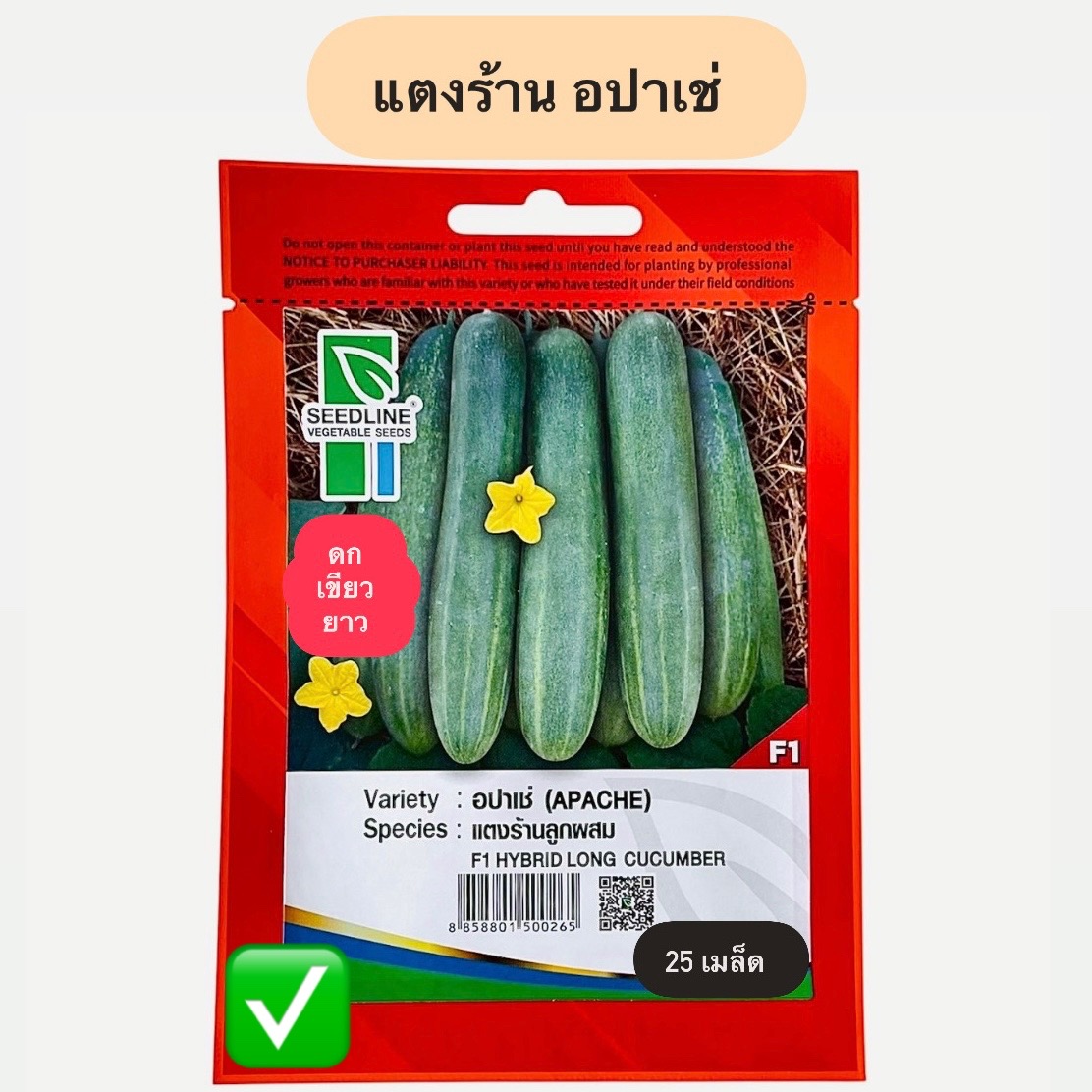 แตงร้าน อปาเช่ ยาว เขียว (25 เมล็ด)