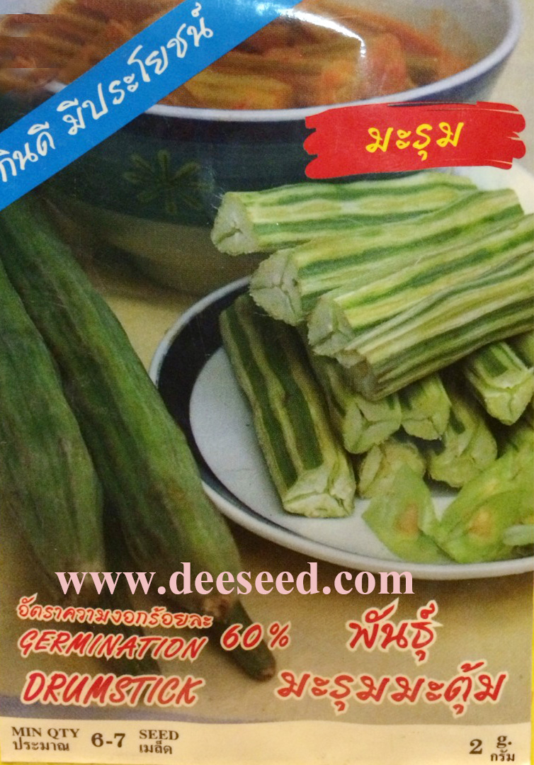 มะรุม 6-7เมล็ด