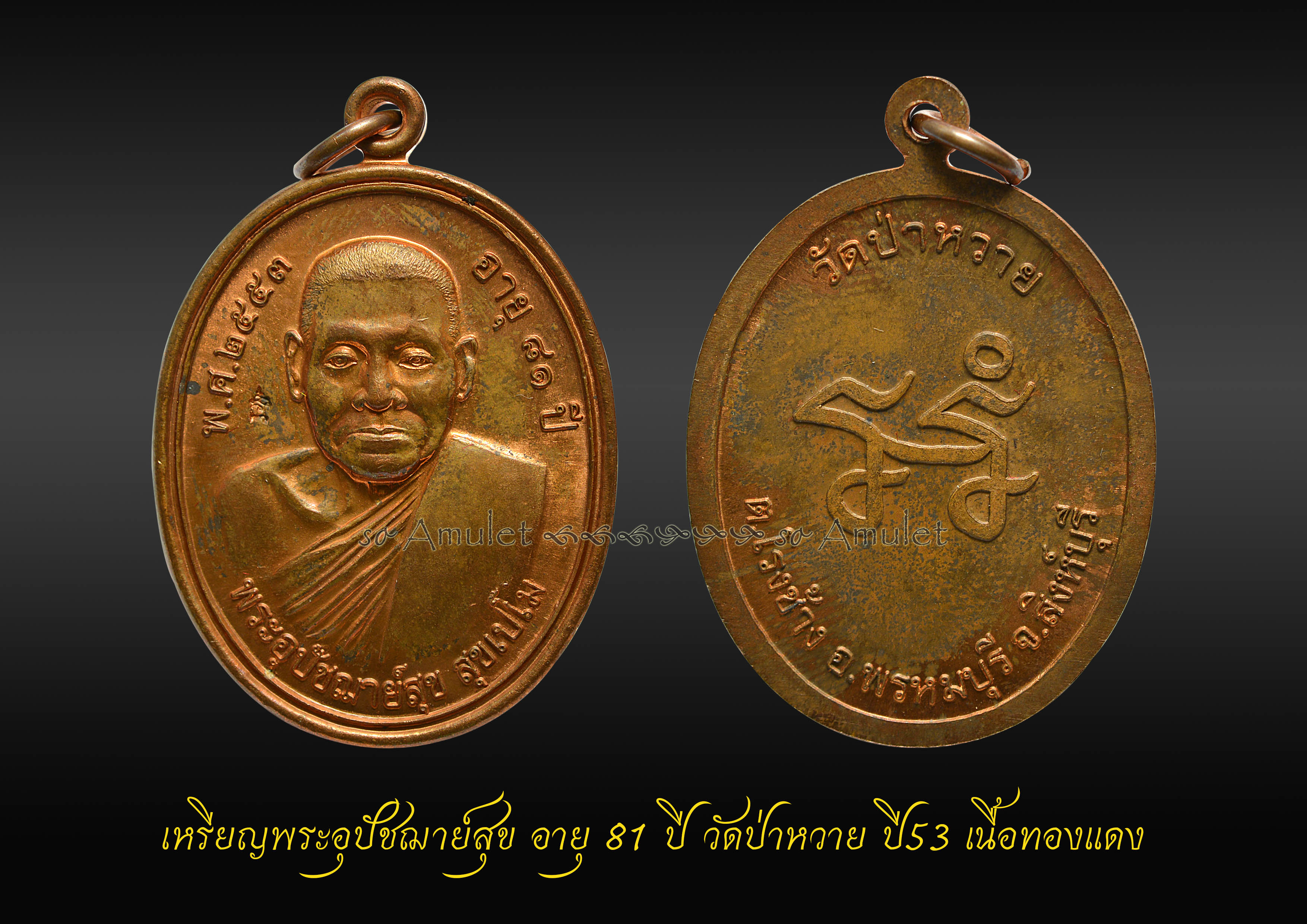 เหรียญพระอุปัชฌาย์สุข อายุ81 ปี หลวงปู่สุข วัดป่าหวาย ปี 2553 เนื้อทองแดง