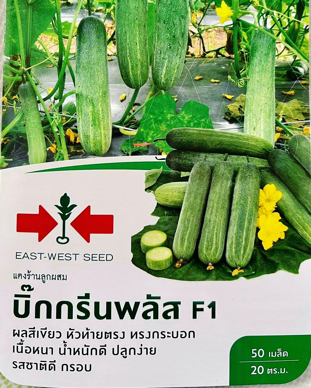 แตงร้าน บิ๊กกรีนพลัส 50 เมล็ด