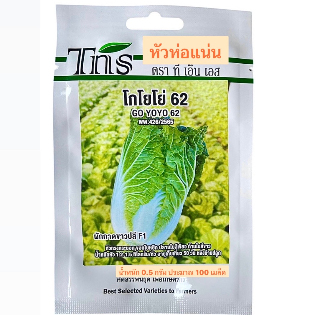 tns ผักกาดขาวปลี โกโยโย่ 62 (หัวแน่น 100 เมล็ด)