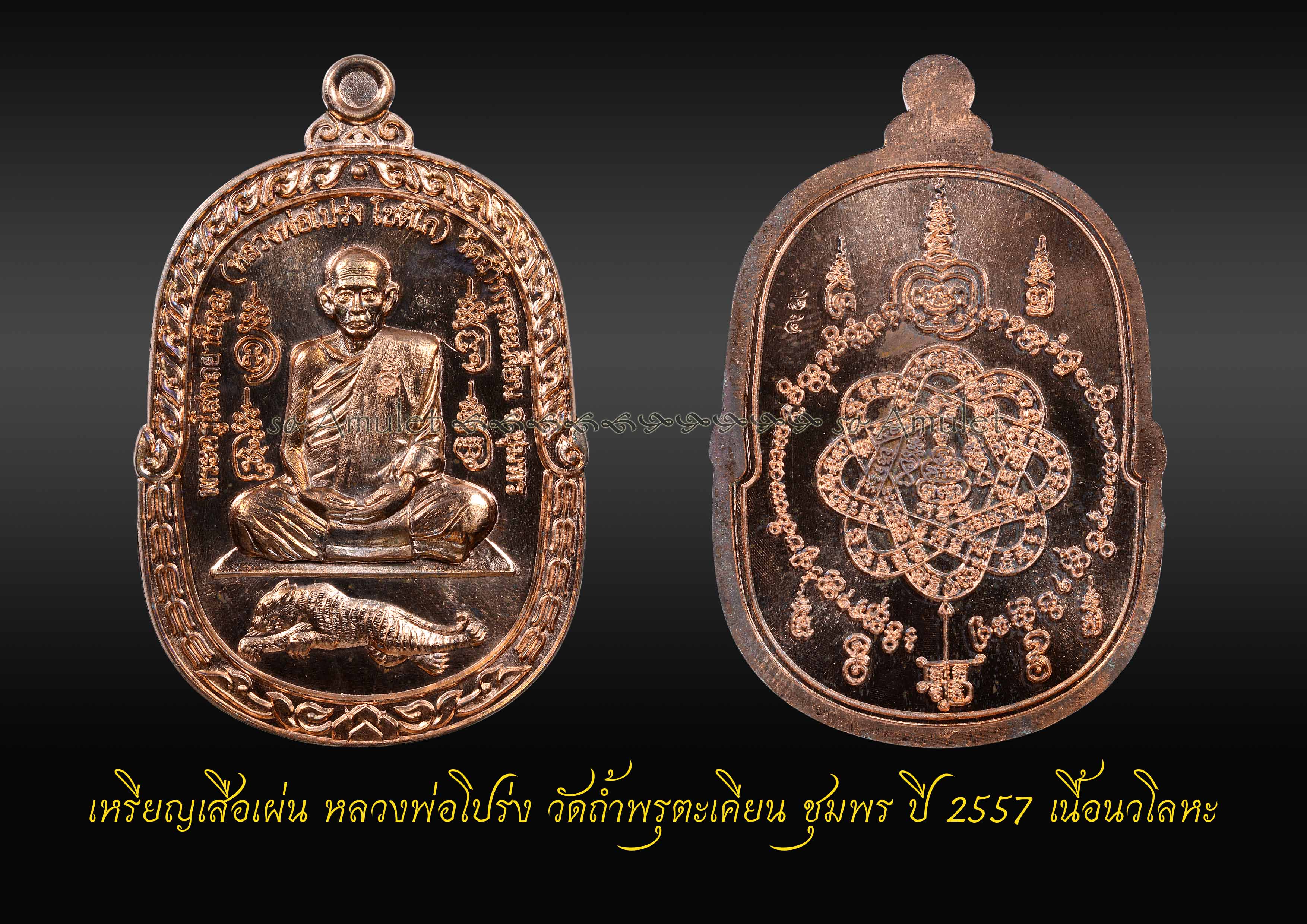 เหรียญเสือเผ่น หลวงพ่อโปร่ง วัดถ้ำพรุตะเคียน ชุมพร ปี 2557 เนื้อนวโลหะ
