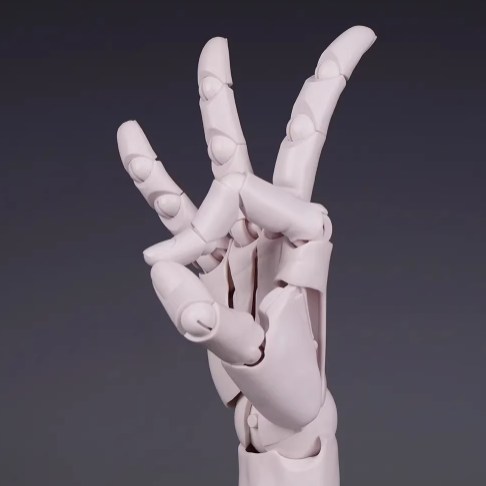 โมเดลมือขวาเหมือนจริง ขนาด1:1