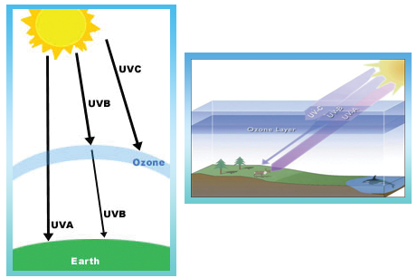 ภาพแสดง รังสี UVA UVB UVC ผ่านชั้น OZONEในชั้นบรรยายกาศโลก แต่ปัจจุบัน UVCได้ผ่านมาเป็นบางส่วนจากชั้นOZONEที่ทุกทำลายจากมนุษย์