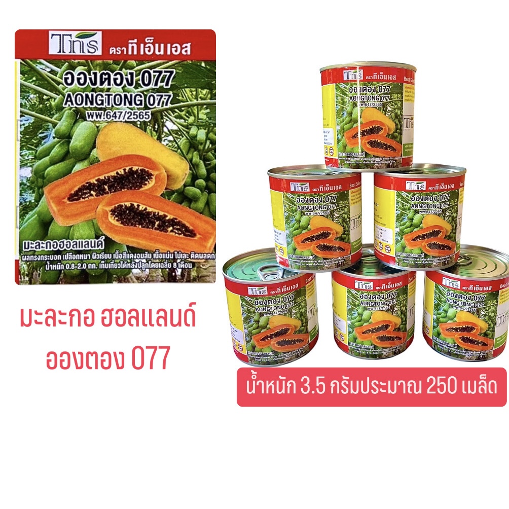 เมล็ด มะละกอ ฮอลแลนด์ ประมาณ 250 เมล็ด