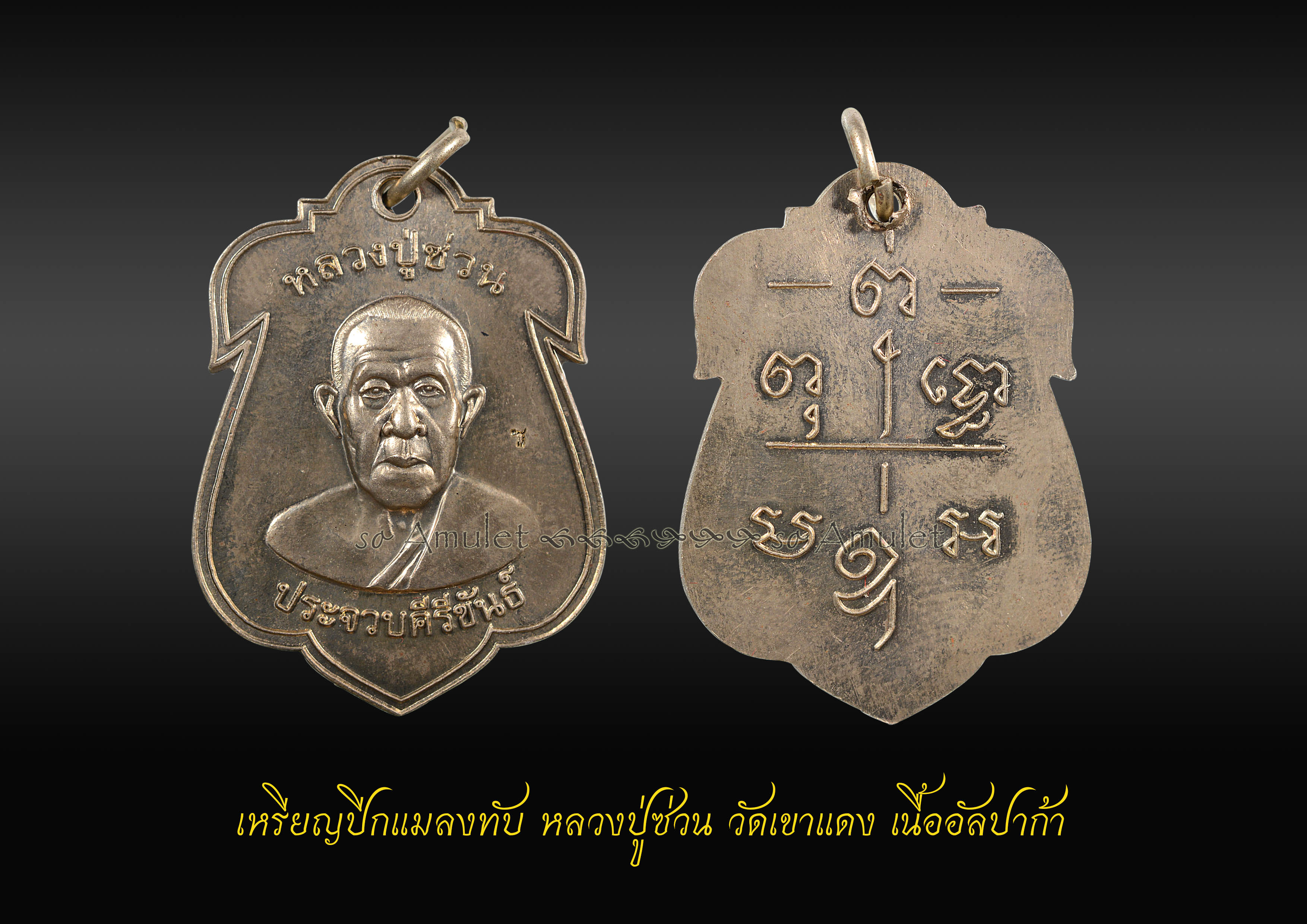 เหรียญปีกแมลงทับ หลวงปู่ซ่วน วัดเขาแดง เนื้ออัลปาก้า