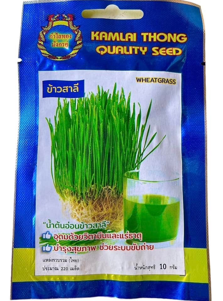 ข้าวสาลี คั้นน้ำ 10 กรัม
