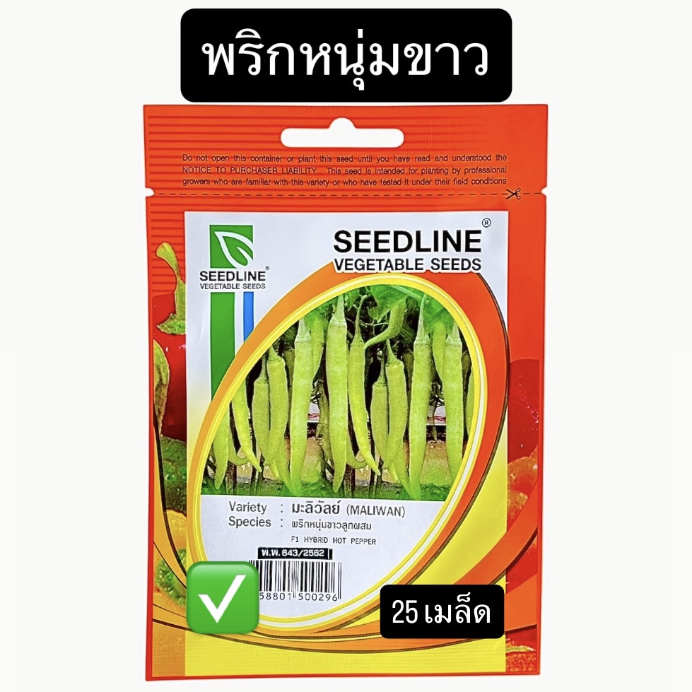 พริกหนุ่มขาว มะลิวัลย์ (25 เมล็ด)