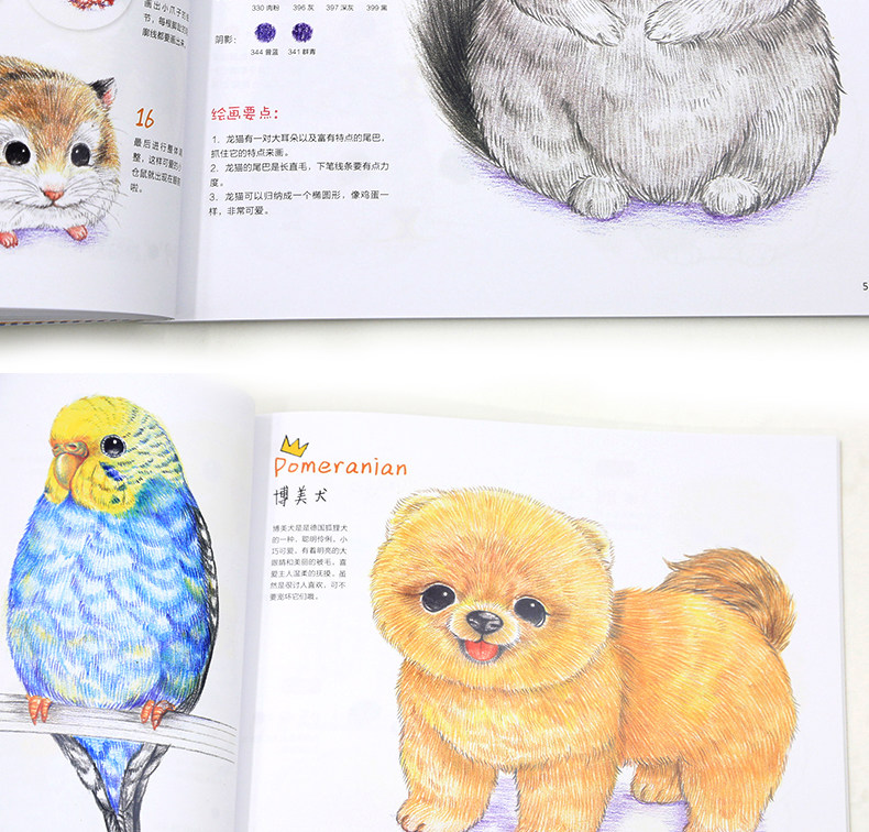 ไม่น่าเชื่อ! แม้แต่คุณเองก็วาดต้าวก้อนน่ารักขนาดนี้ได้ด้วยสีไม้ธรรมดาๆด้วยล่ะค่ะ!!