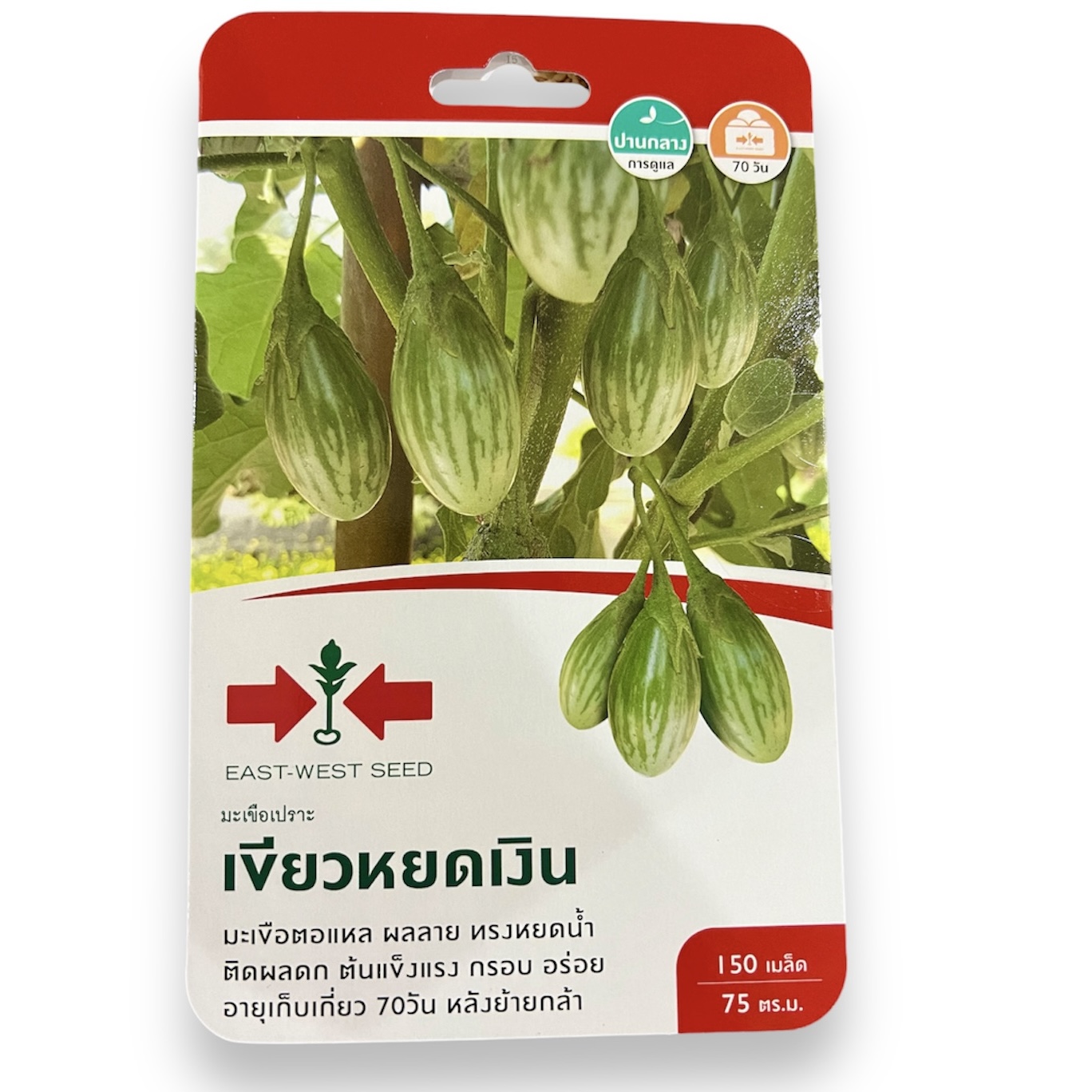 ศรแดง เมล็ด มะเขือไข่เต่า เขียวหยดเงิน (150 เมล็ด)