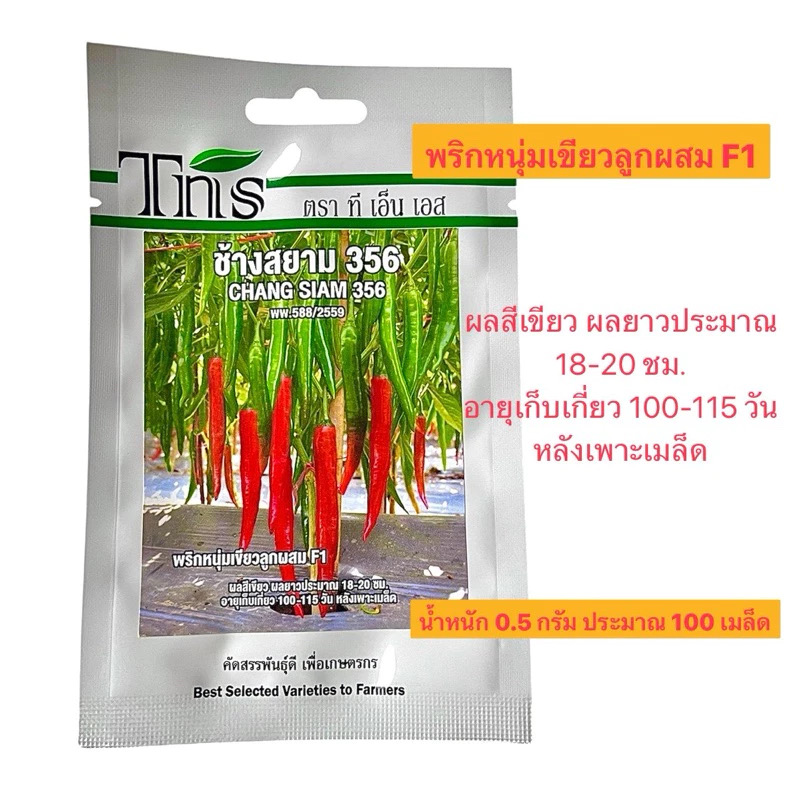 tns เมล็ด พริกหนุ่มเขียว ช้างสยาม 356 (น้ำหนัก 0.5 กรัม ประมาณ 100 เมล็ด)