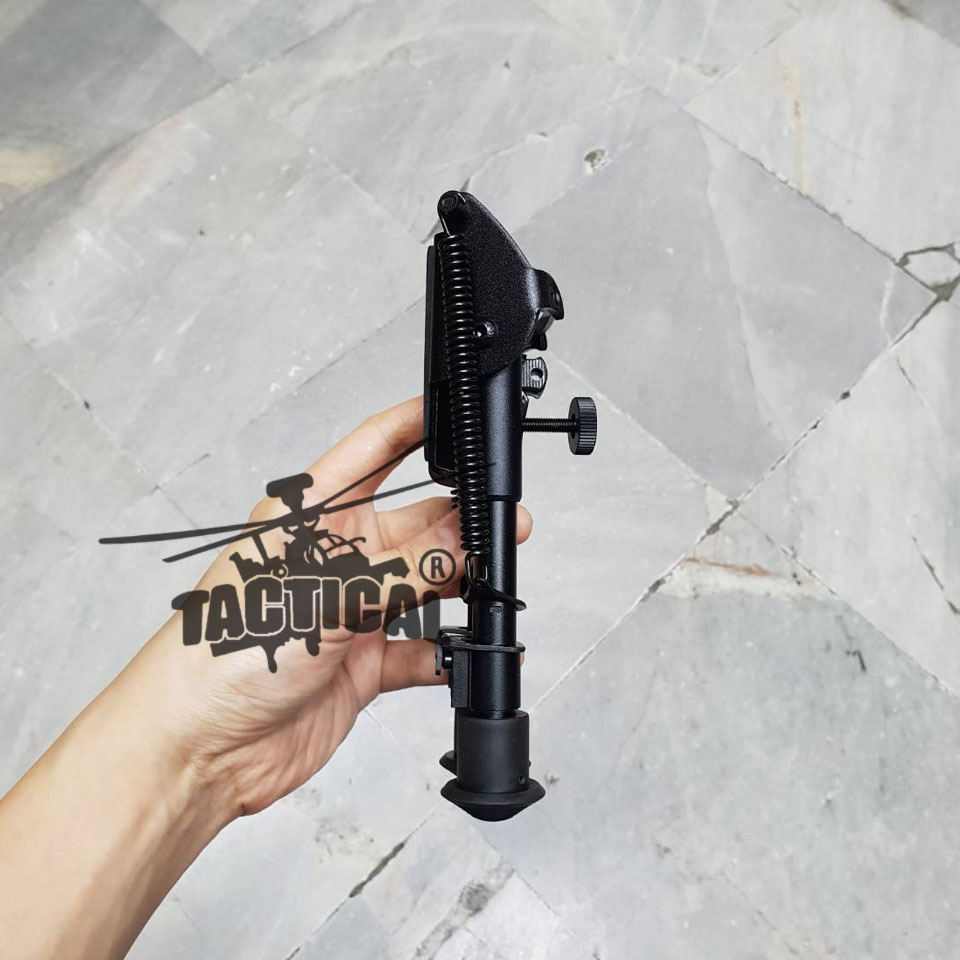 ขาทรายสปริง