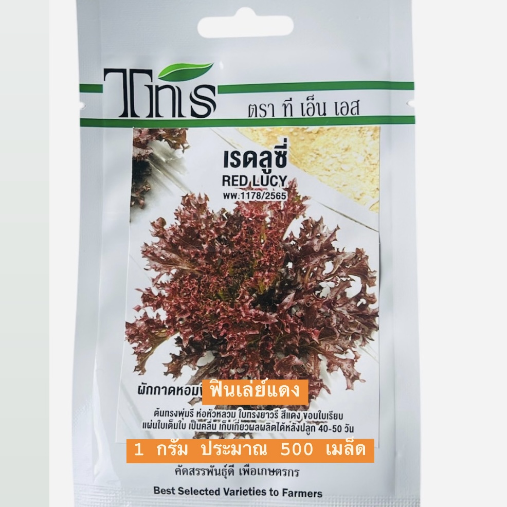 tns สลัด ฟินเล่ย์ แดง เรดลูซี่ (500 เมล็ด)