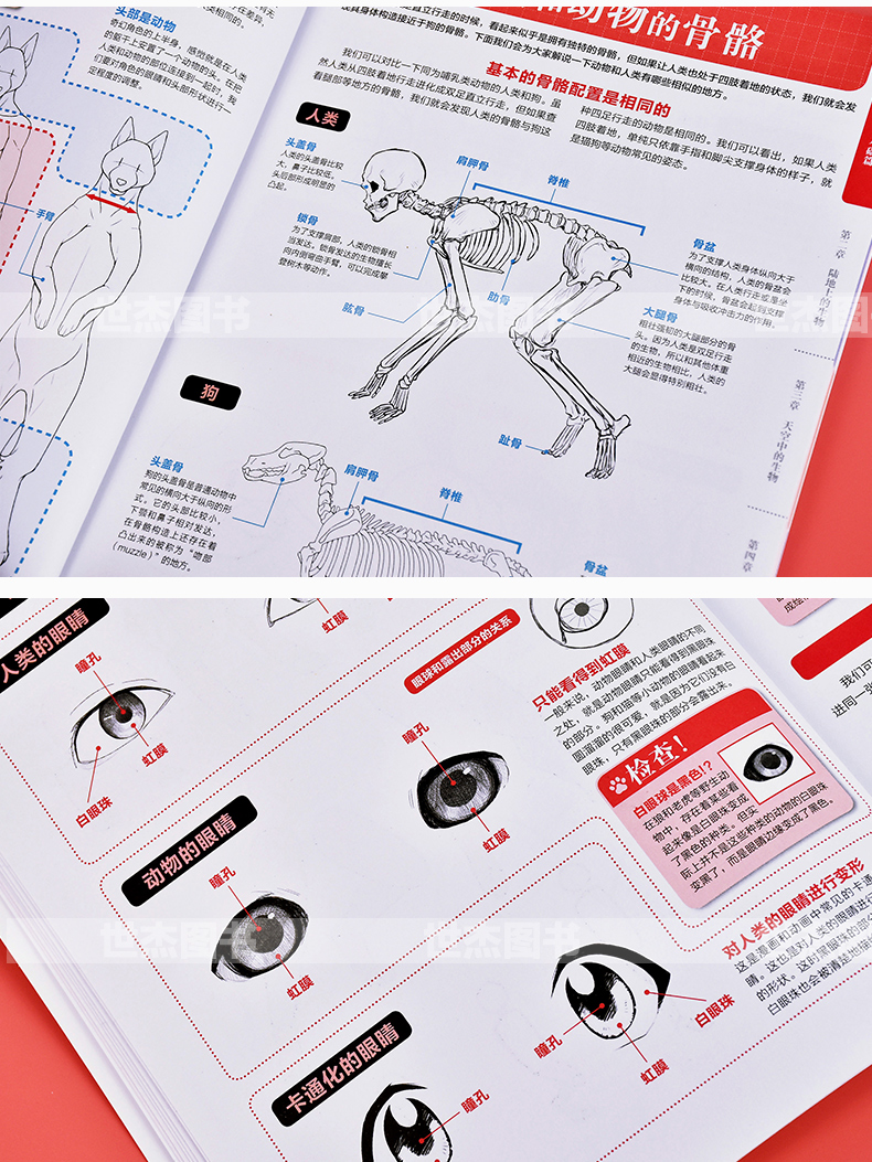 สอนวาดเคโมะKemono เล่ม1