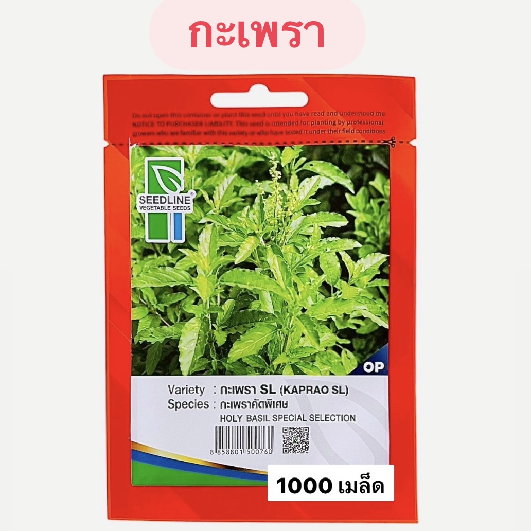 กะเพรา (1000 เมล็ด)