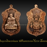 เหรียญบารมีหลวงพ่อแถม วัดช้างแทงกระจาด ปี2554 เนื้อทองแดง