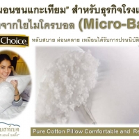 หมอนหนุนไมโครบอล