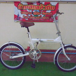 TEAMP รถพับ ล้อ 20 นิ้ว มีโช้คหลัง ไม่มีเกียร์