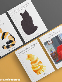 (พร้อมส่ง) กว่าผมจะตื่น เธอก็คงไปดูแมวห้องคนอื่นเสียแล้ว + แมวน่ารักมีเยอะ แต่เชื่อเถอะ แมวสั้มดีที่สุดแล้ว ใบพัด นบน้อม